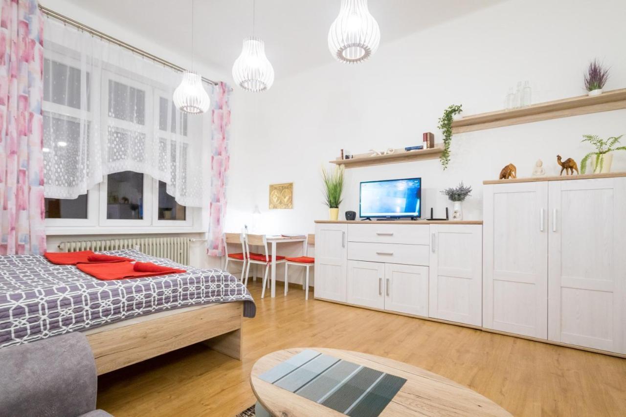 Utulny Druhy Domov V Srdci Ziliny Apartman Zsolna Kültér fotó